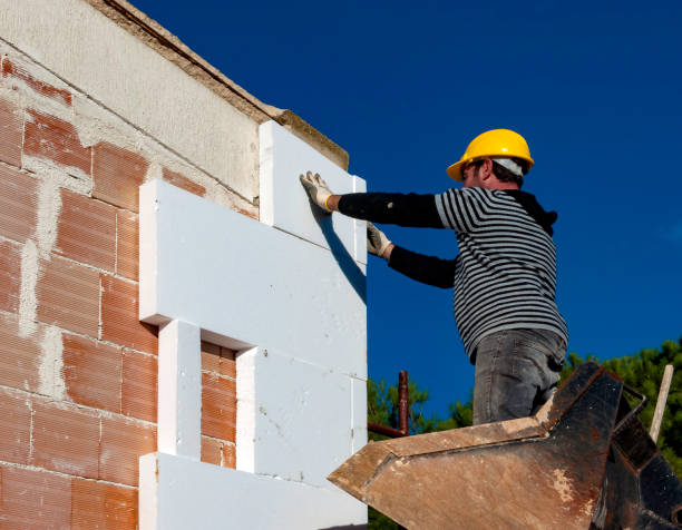 Best Geographic-Specific Insulation Services in Tok, AK
