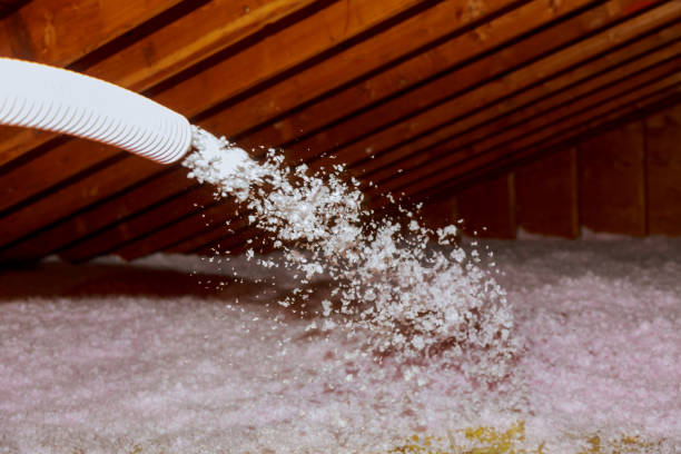 Best Specialized Insulation Services in Tok, AK