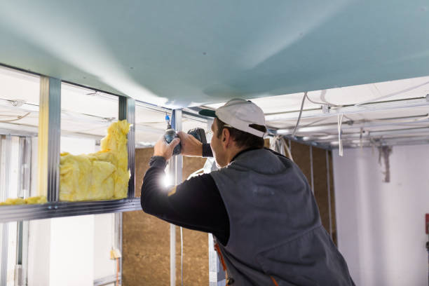 Types of Insulation We Offer in Tok, AK