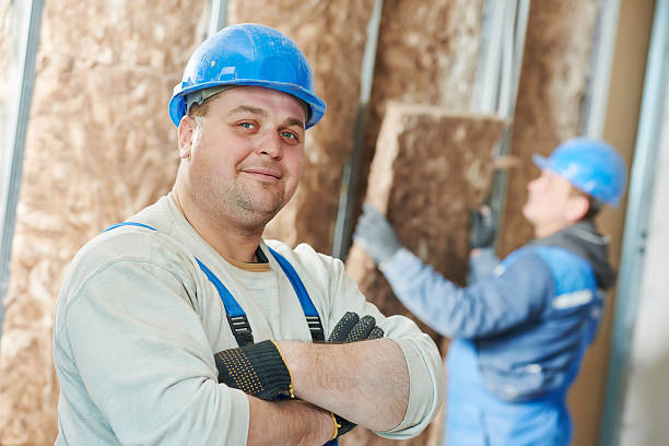 Best Residential Insulation in Tok, AK
