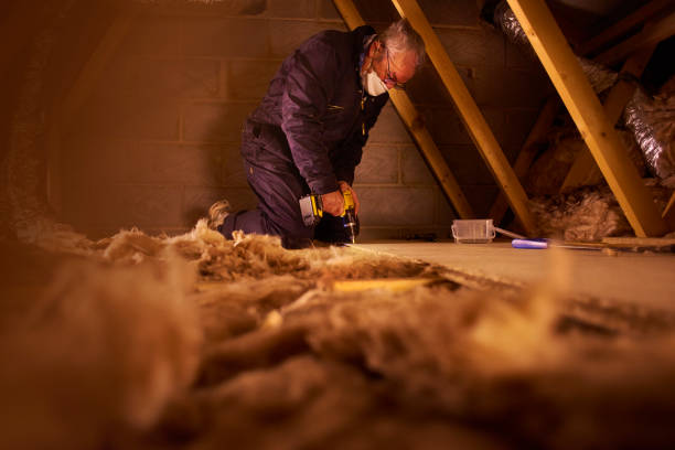 Best Spray Foam Insulation in Tok, AK